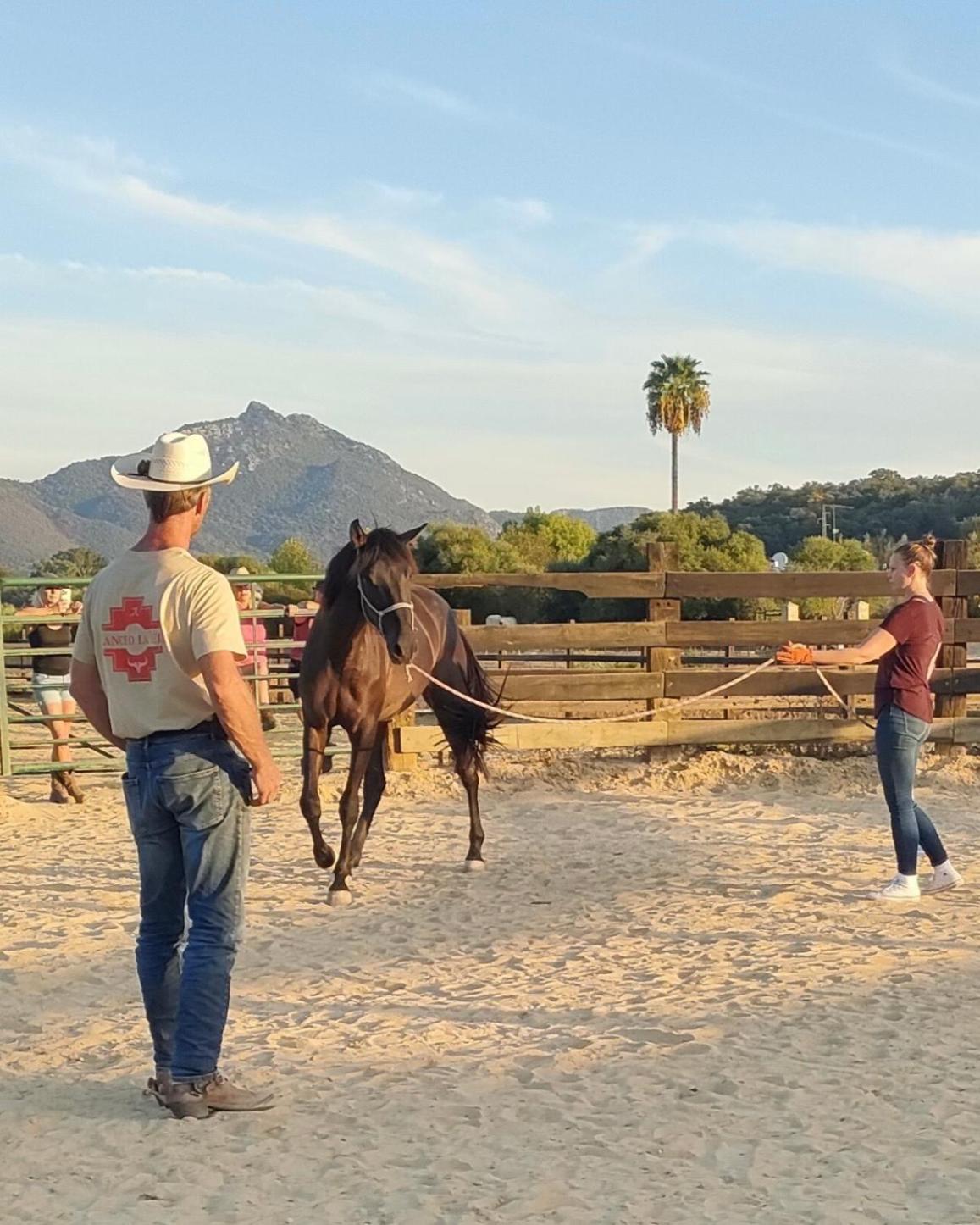 Cabana Rustica En Un Rancho Con Caballos, Prado Del Rey, Andalucia Luaran gambar