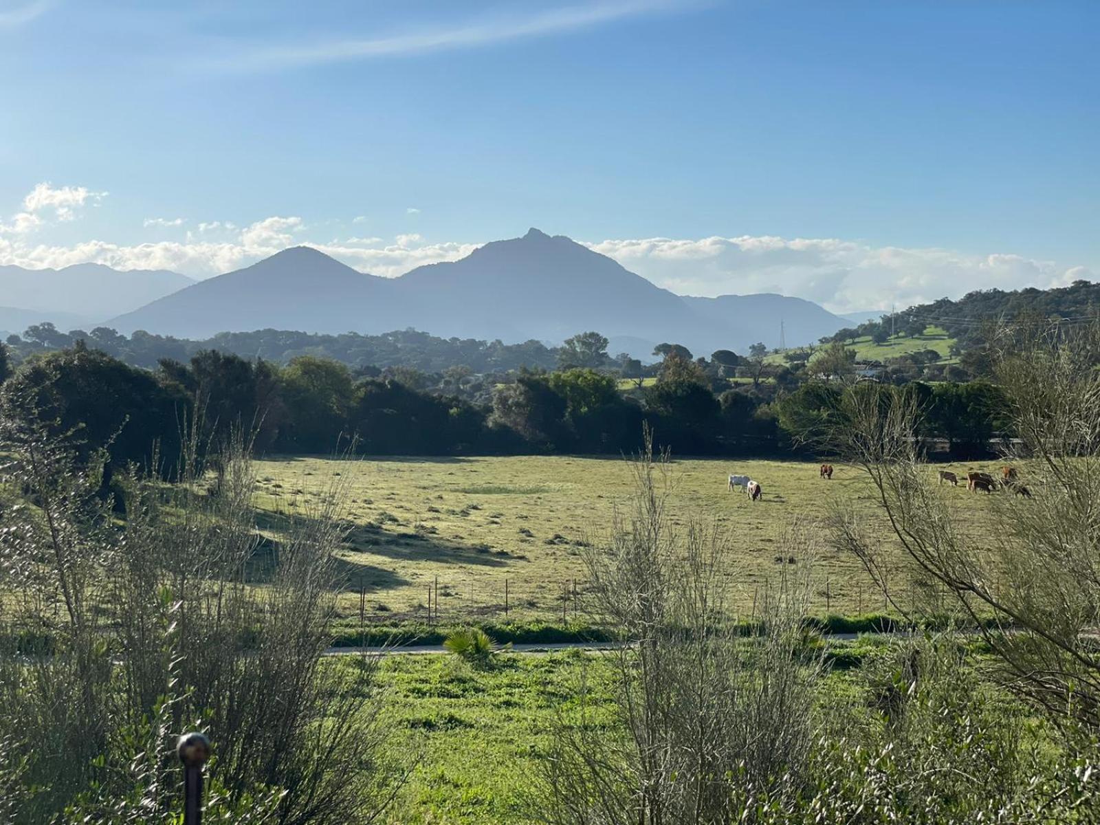 Cabana Rustica En Un Rancho Con Caballos, Prado Del Rey, Andalucia Luaran gambar