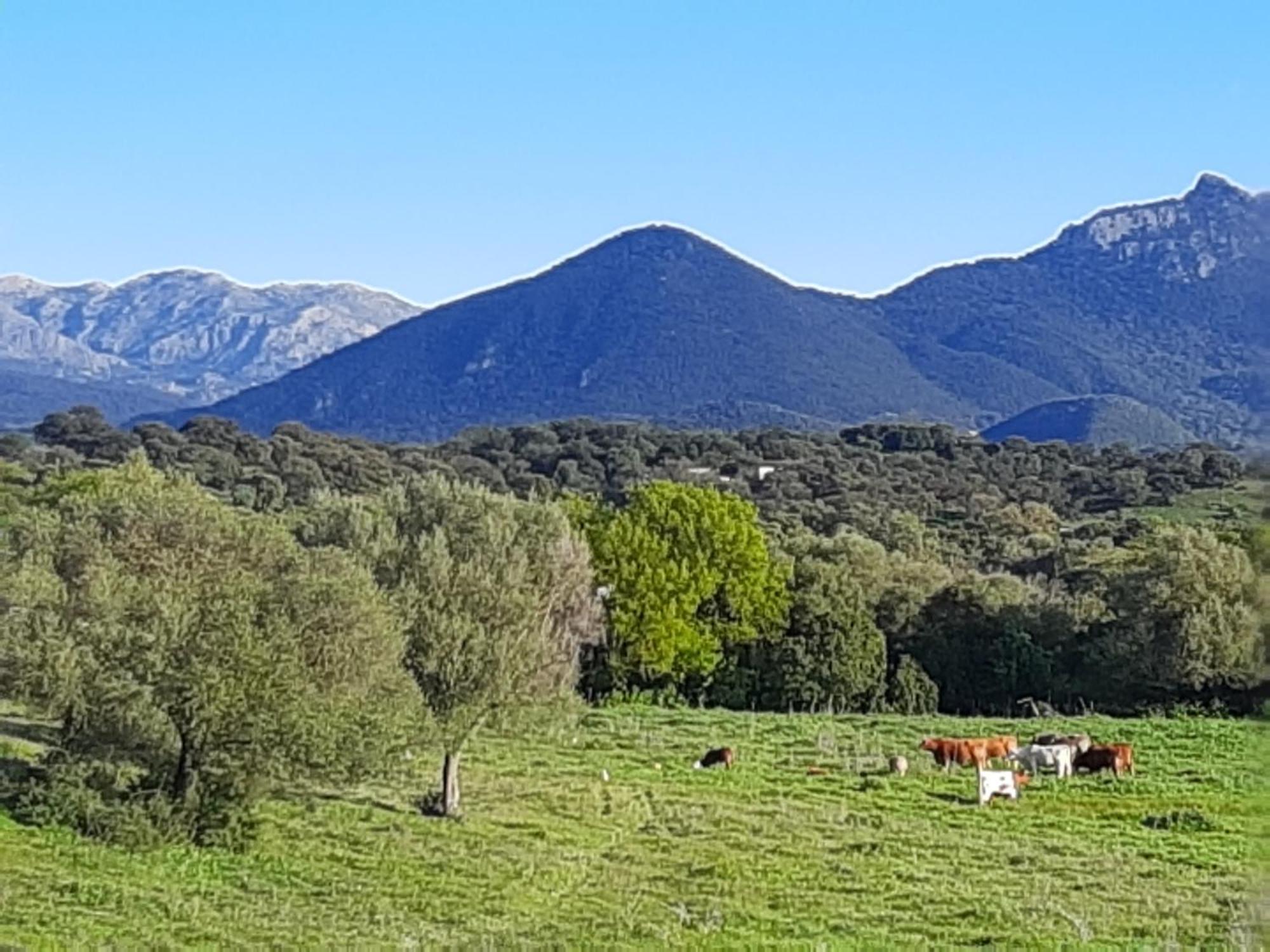 Cabana Rustica En Un Rancho Con Caballos, Prado Del Rey, Andalucia Luaran gambar